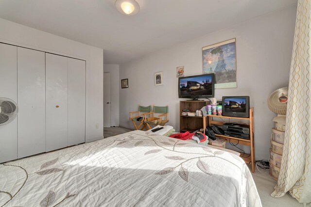 carpeted bedroom featuring a closet