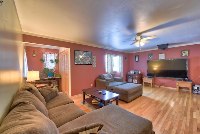 living room with ceiling fan and light hardwood / wood-style flooring