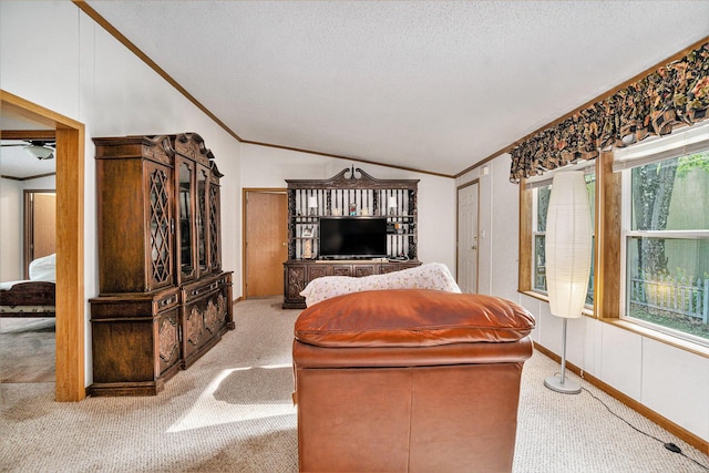 4348 S Grandview Hwy, Harrietta, MI 49638 - living room with ornamental molding, lofted ceiling, carpet, and a textured ceiling