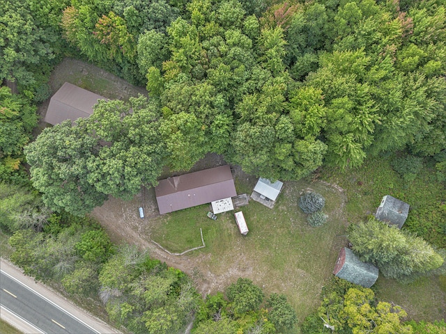 4348 S Grandview Hwy, Harrietta, MI 49638 - aerial view