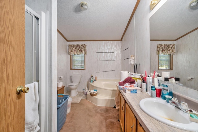 4348 S Grandview Hwy, Harrietta, MI 49638 - full bathroom featuring ornamental molding, a wealth of natural light, vanity, and a textured ceiling
