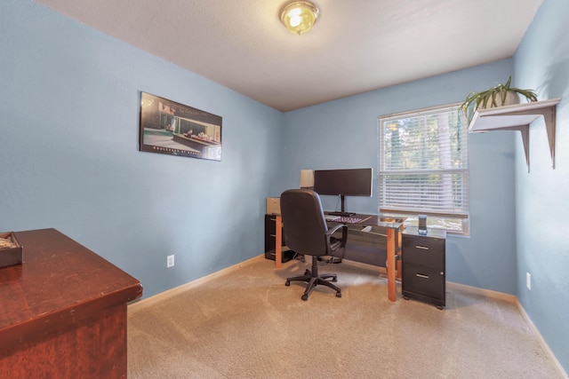 home office with carpet flooring