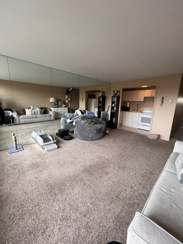 carpeted living room featuring sink