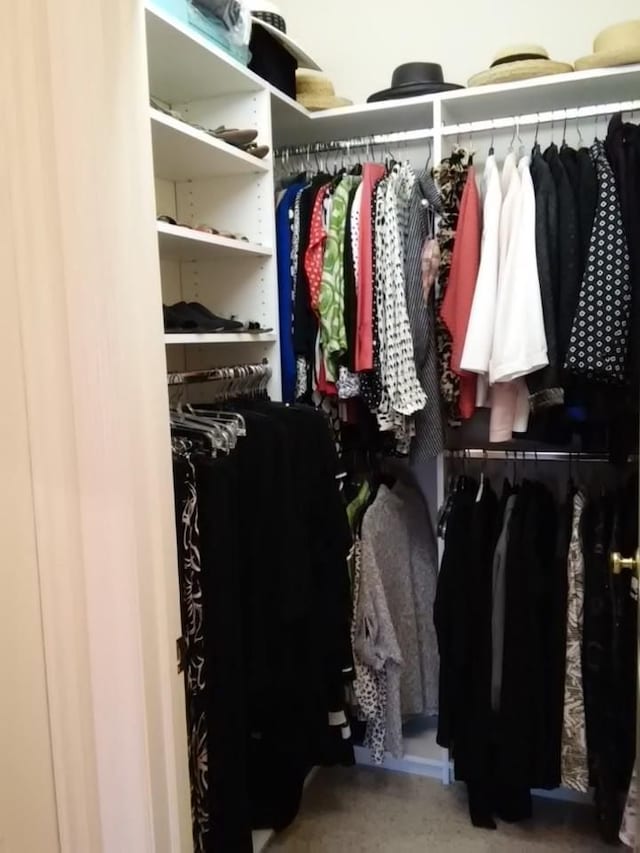 view of walk in closet