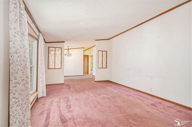 spare room featuring ornamental molding, carpet floors, and a textured ceiling