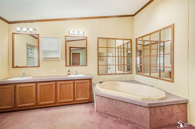 bathroom with vanity, a washtub, crown molding, and a textured ceiling