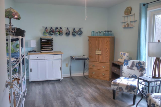 sitting room featuring dark wood-type flooring