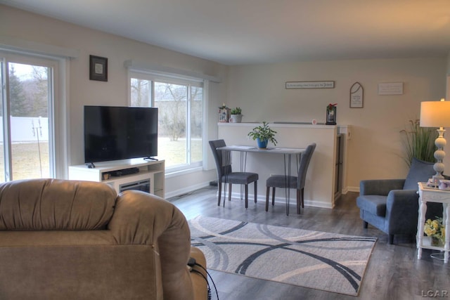 living room featuring dark wood-type flooring