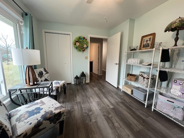 living area with dark hardwood / wood-style floors