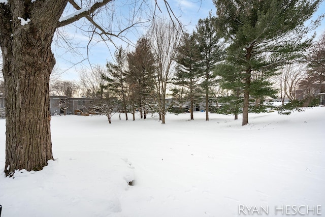 view of snowy yard