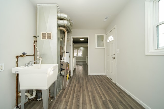 foyer entrance featuring dark hardwood / wood-style flooring and sink