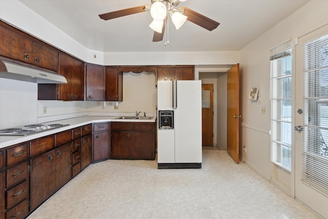 kitchen with ceiling fan, white appliances, dark brown cabinetry, and sink