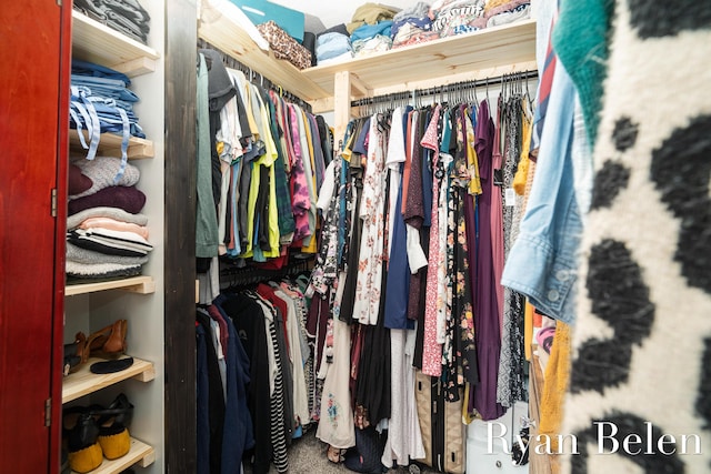 view of spacious closet