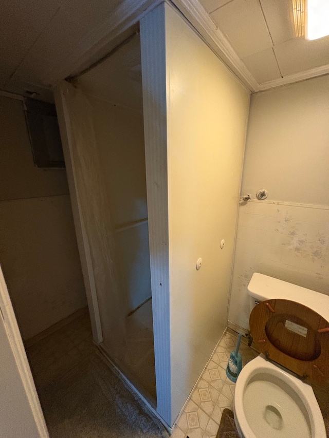 bathroom featuring toilet