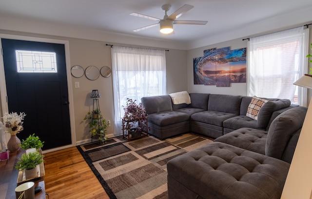 living room with hardwood / wood-style floors, a wealth of natural light, and ceiling fan