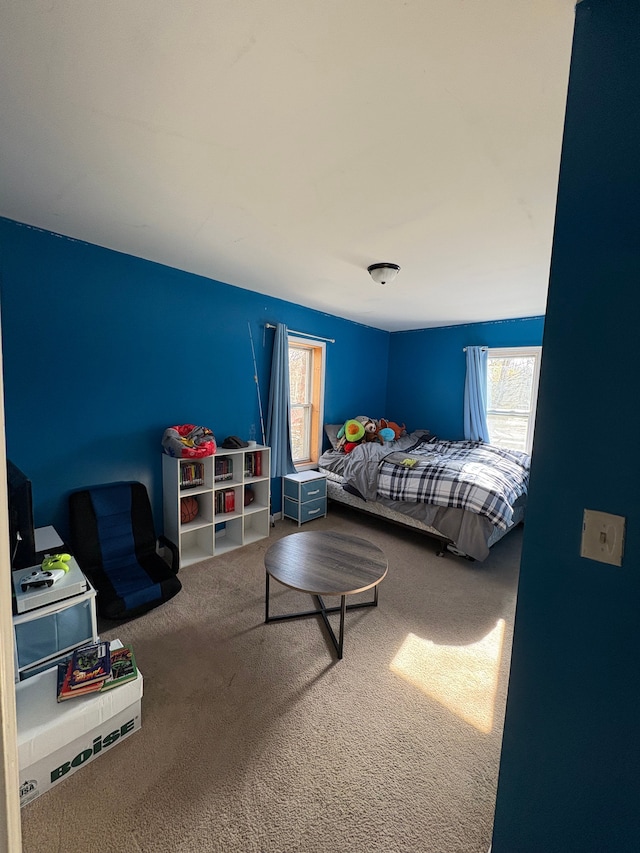 bedroom with carpet floors