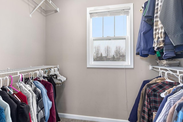 spacious closet featuring carpet