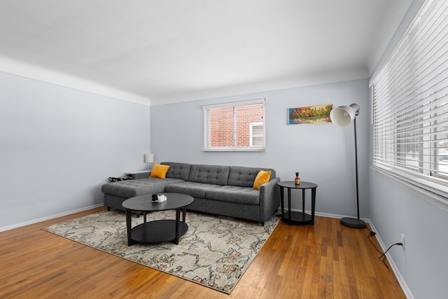 living room with wood-type flooring and a healthy amount of sunlight