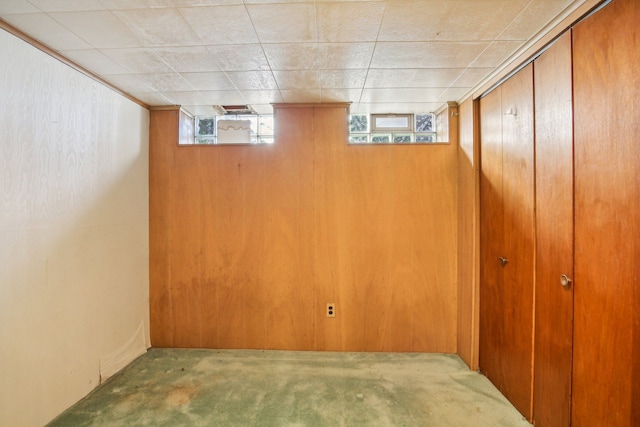 basement with wooden walls