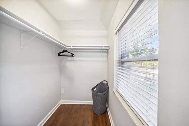 spacious closet featuring dark hardwood / wood-style flooring