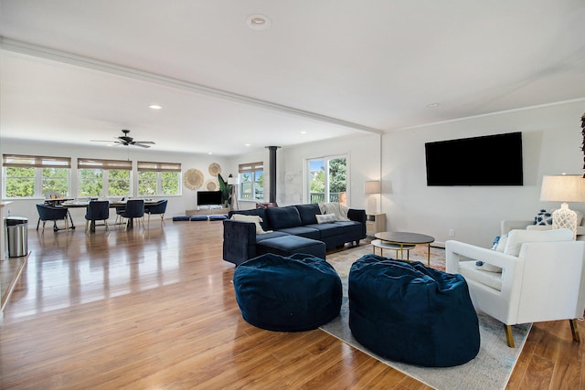 living room with a wealth of natural light, light hardwood / wood-style flooring, ceiling fan, and a wood stove