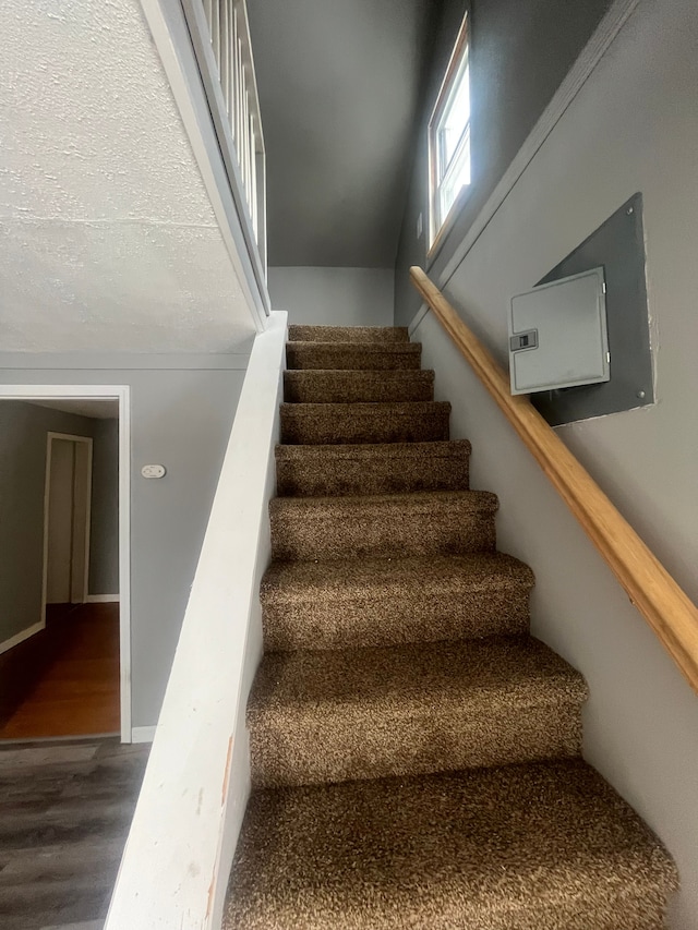 stairway featuring wood-type flooring