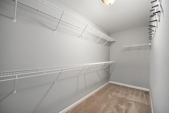 spacious closet featuring carpet floors