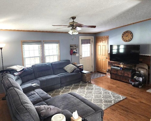 living room with crown molding, plenty of natural light, and hardwood / wood-style floors