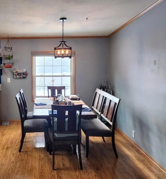 dining space featuring wood-type flooring and ornamental molding