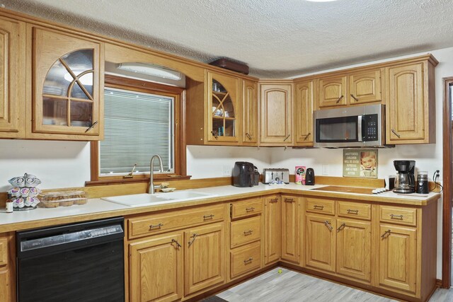 kitchen featuring light hardwood / wood-style flooring, sink, black dishwasher, and a textured ceiling