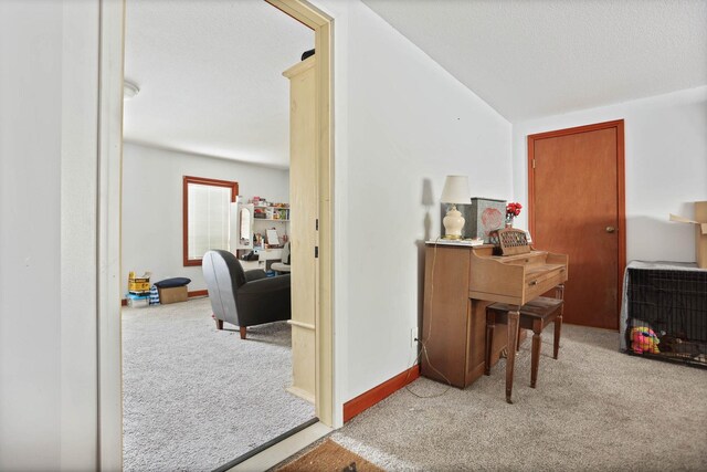 interior space featuring light carpet and a textured ceiling