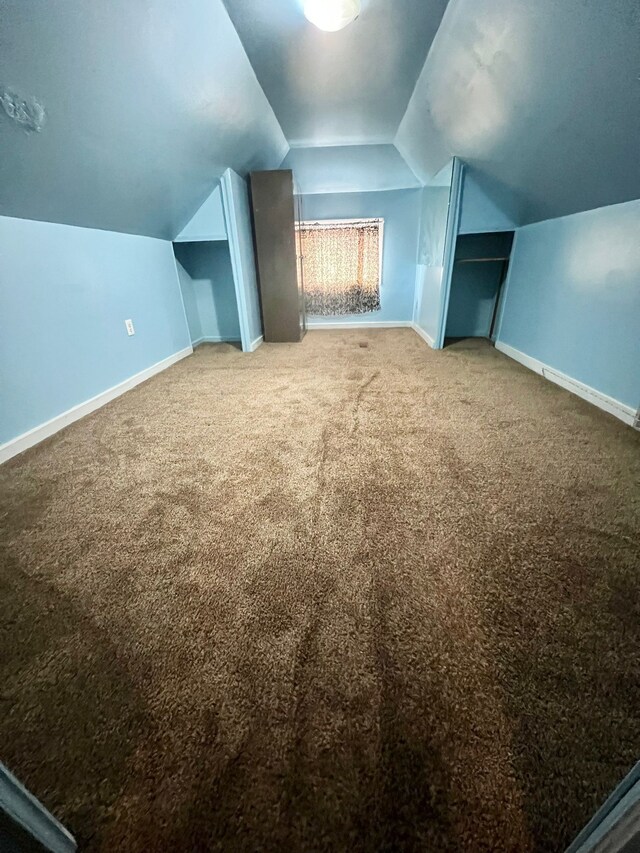 additional living space featuring vaulted ceiling and carpet floors