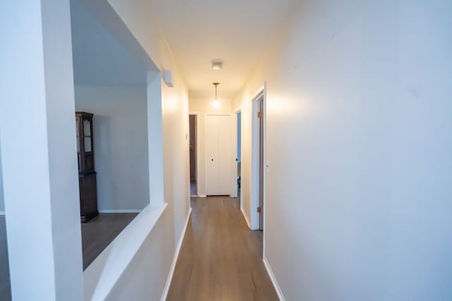 corridor featuring hardwood / wood-style floors