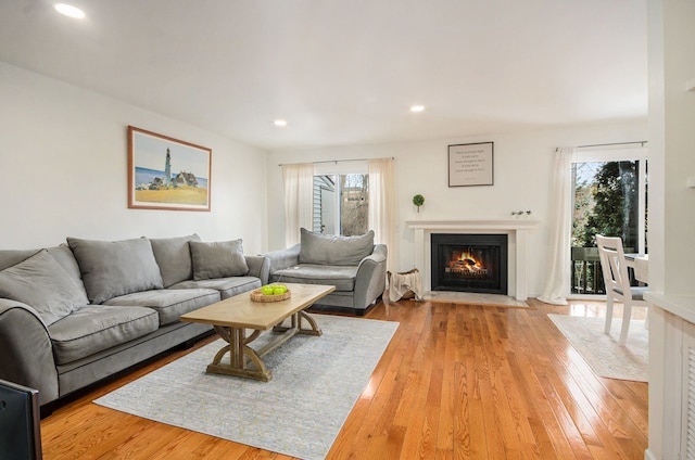 living room with light wood-type flooring