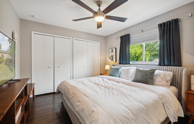 bedroom featuring ceiling fan, dark hardwood / wood-style floors, and multiple closets