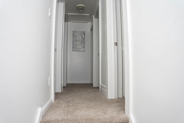 corridor featuring light carpet