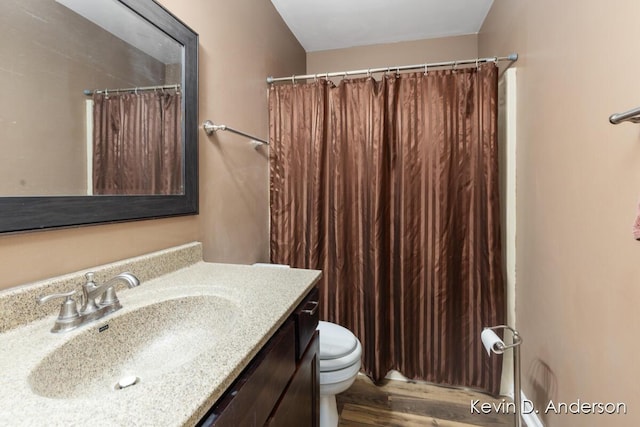 bathroom featuring vanity, a shower with curtain, toilet, and wood finished floors