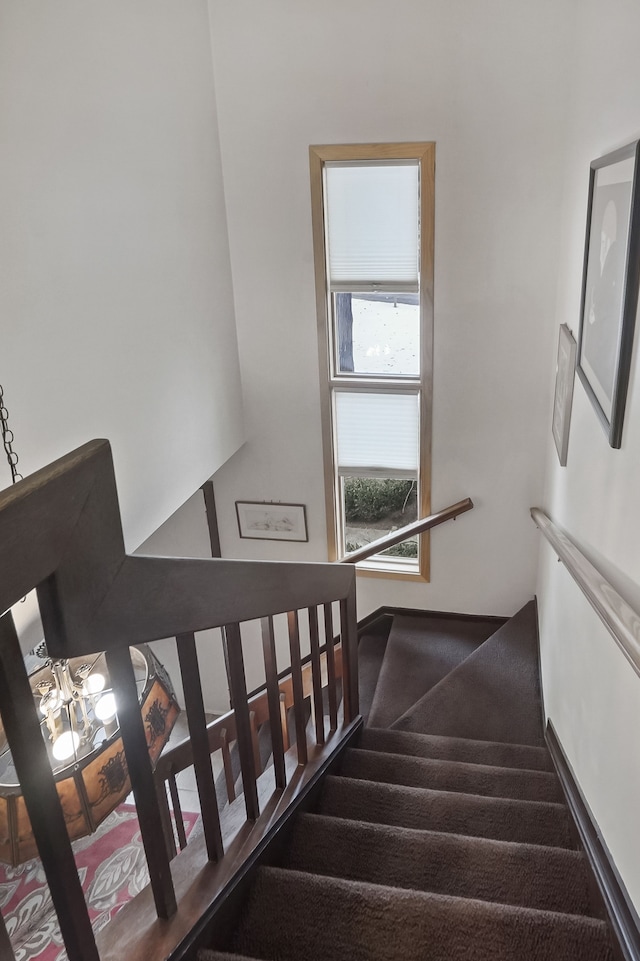 staircase featuring carpet