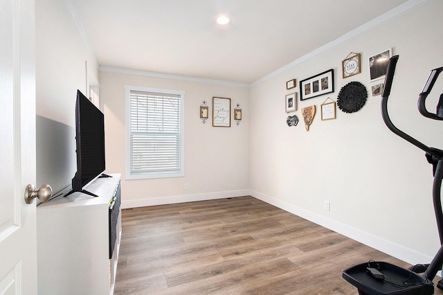 16715 Williamsville St, Vandalia, MI 49095 - workout area featuring ornamental molding and light hardwood / wood-style flooring