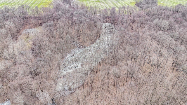16715 Williamsville St, Vandalia, MI 49095 - birds eye view of property