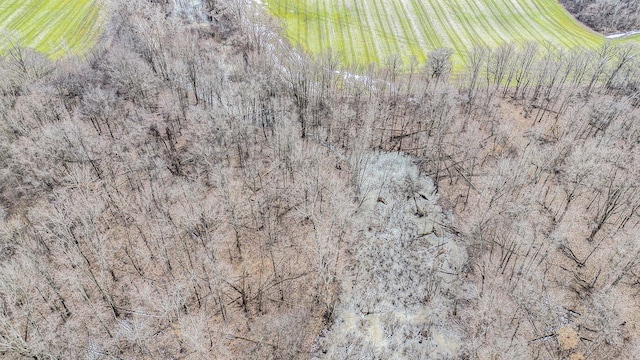 16715 Williamsville St, Vandalia, MI 49095 - bird's eye view