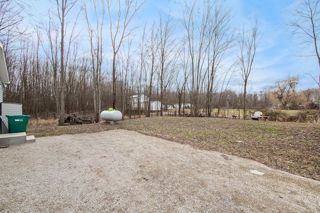 16715 Williamsville St, Vandalia, MI 49095 - view of yard