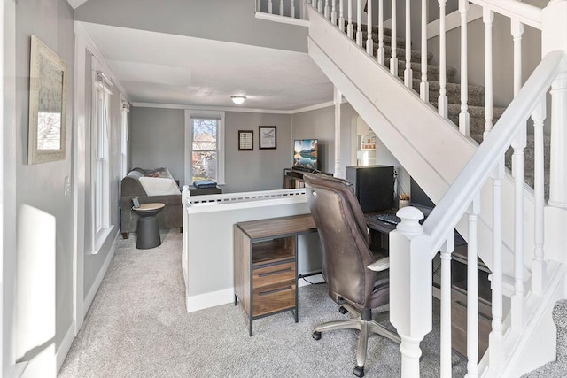 office space with crown molding and carpet flooring