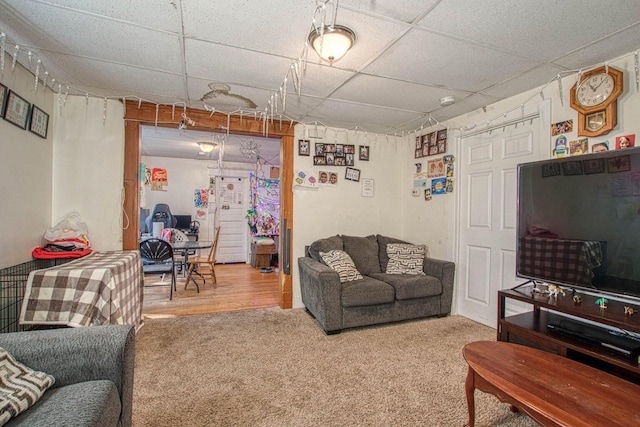 living room with carpet and a drop ceiling