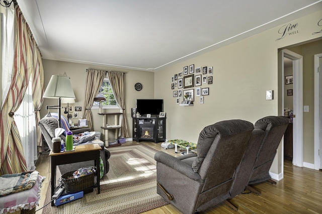 living room with wood-type flooring