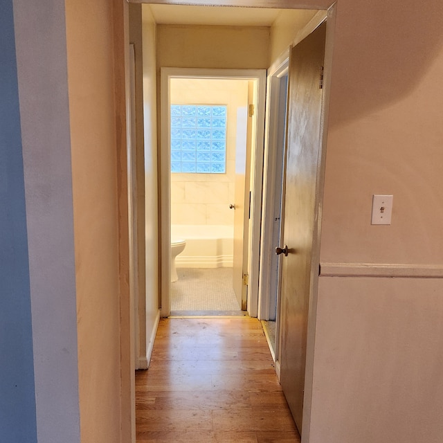 hall featuring light hardwood / wood-style floors