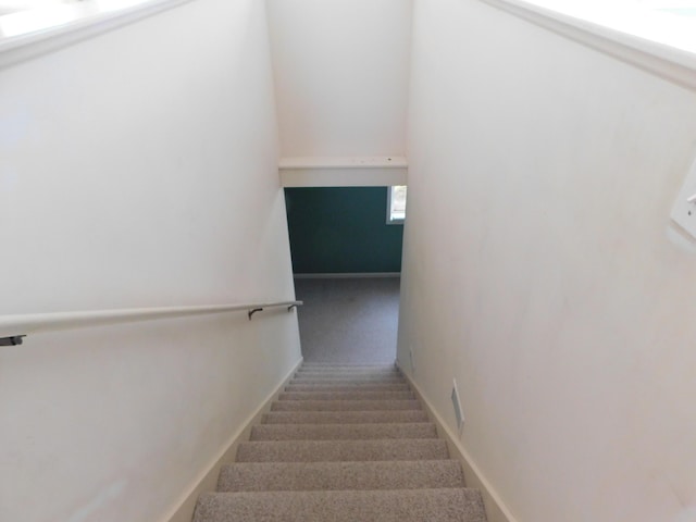 stairway with carpet