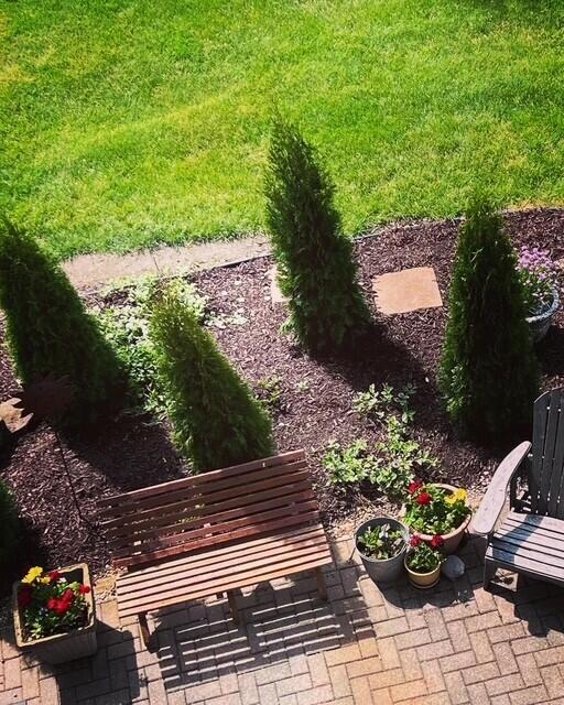 view of yard with a patio