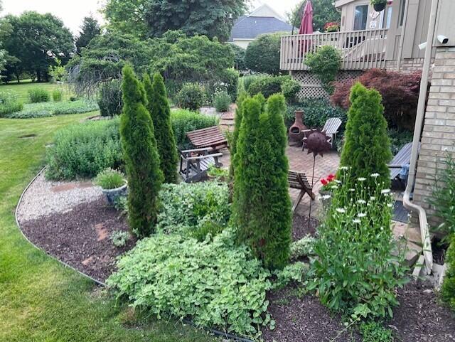 view of yard featuring a patio area