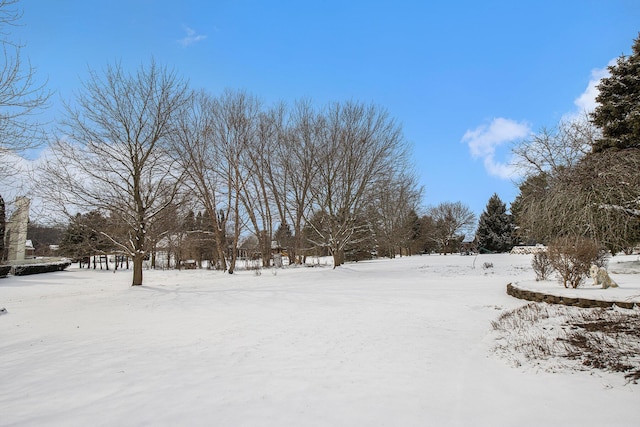 view of yard covered in snow